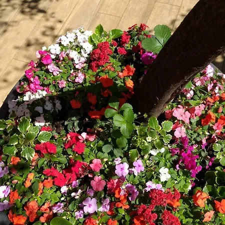 Monti Garden 로마